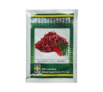 INDO ASLI-5s