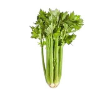 CELERY