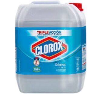 CLOROX BIG-10L