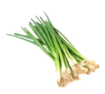 ONION LEAF