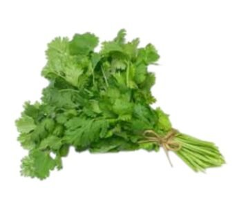 CORIANDER LEAF