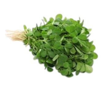 FENUGREEK LEAF