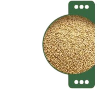 FOXTAIL MILL(THINAI)-500GM